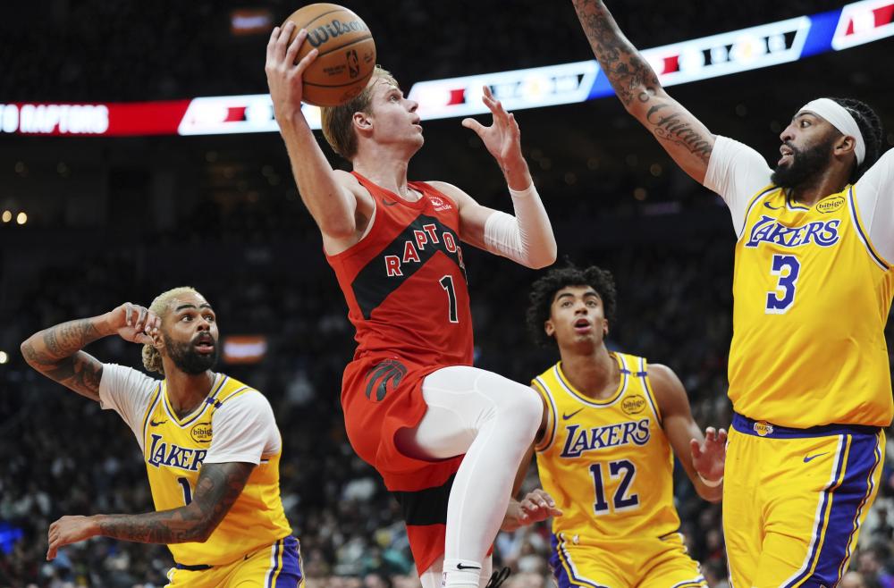 化学反应不 化学反应不